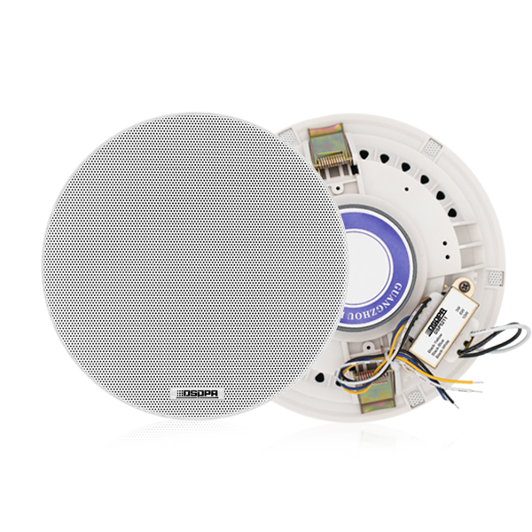 DSP5211 New 10W Coaxial Frame-less Ceiling Speaker